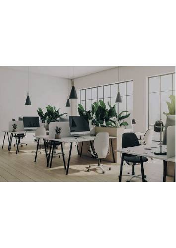 How to Create  Stylish Office Workplace in Your Budget?